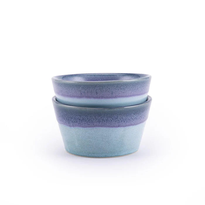 Plane Cereal Bowl (Set of 2)