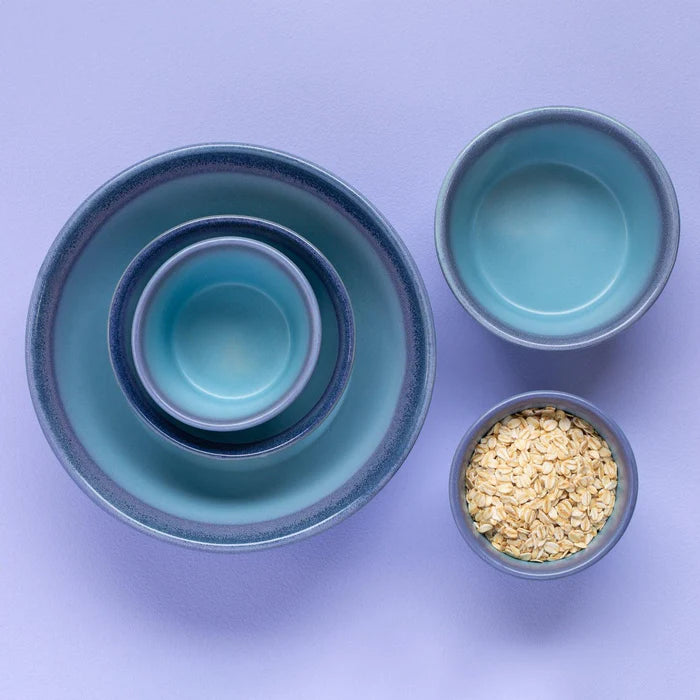 Plane Cereal Bowl (Set of 2)